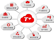 T+---客户应用