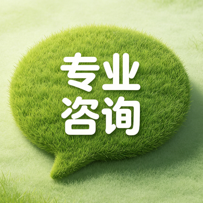 专业咨询实施