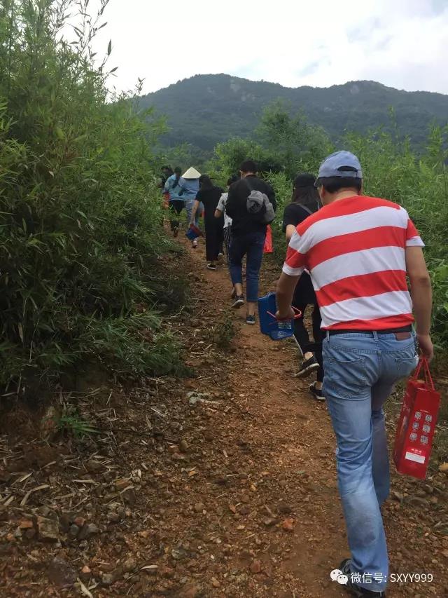 摘杨梅活动完美落幕！